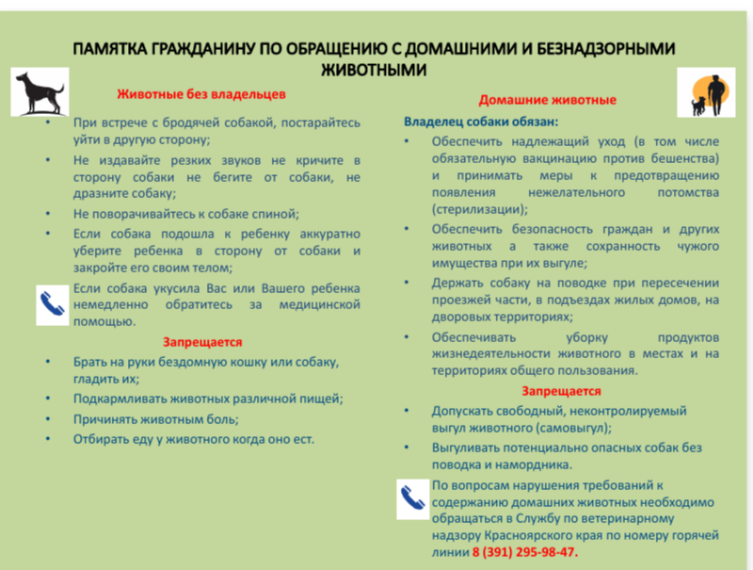 Содержание домашних животных. Содержание домашних животных.